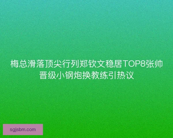 梅总滑落顶尖行列郑钦文稳居TOP8张帅晋级小钢炮换教练引热议