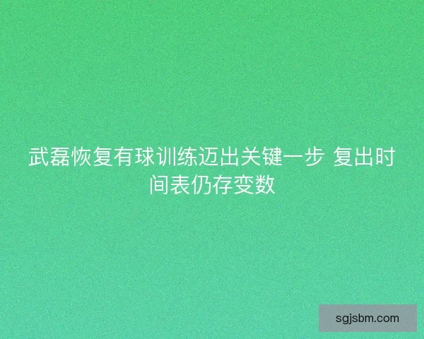 武磊恢复有球训练迈出关键一步 复出时间表仍存变数
