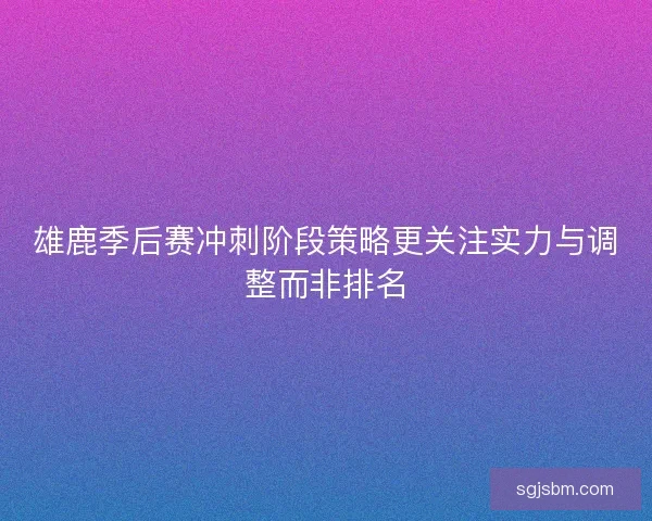 雄鹿季后赛冲刺阶段策略更关注实力与调整而非排名