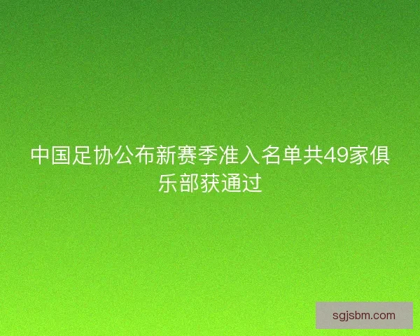 中国足协公布新赛季准入名单共49家俱乐部获通过